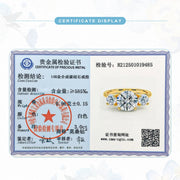 Sf5d5288a42c1442b8be44e6ab6832f82s